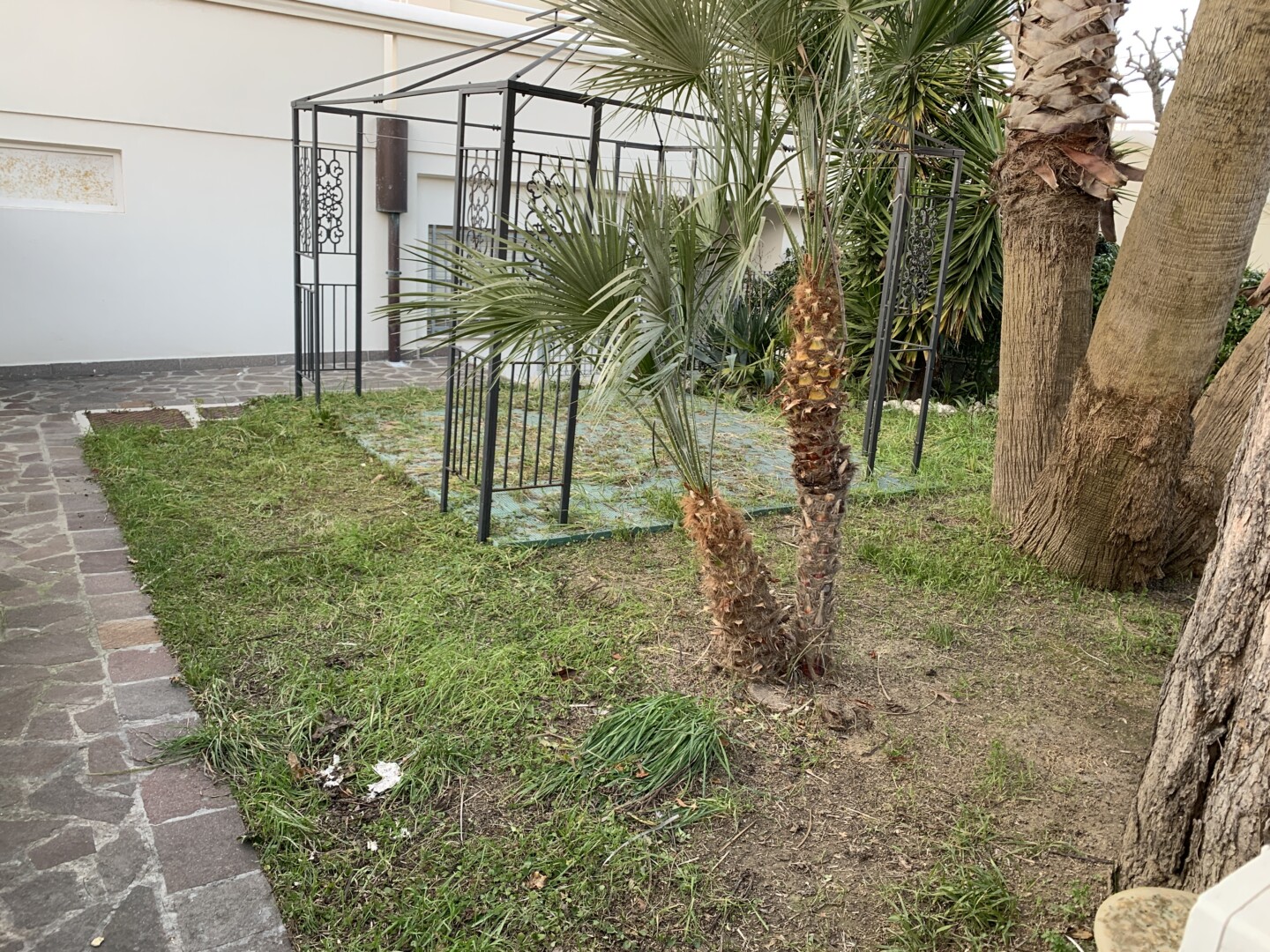 AFFITTASI ESTIVO Piano seminterrato con giardino  2 camere bagno